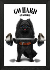 Pomeranian Weightlifting Framed Wall Art Poster Canvas Print Picture
