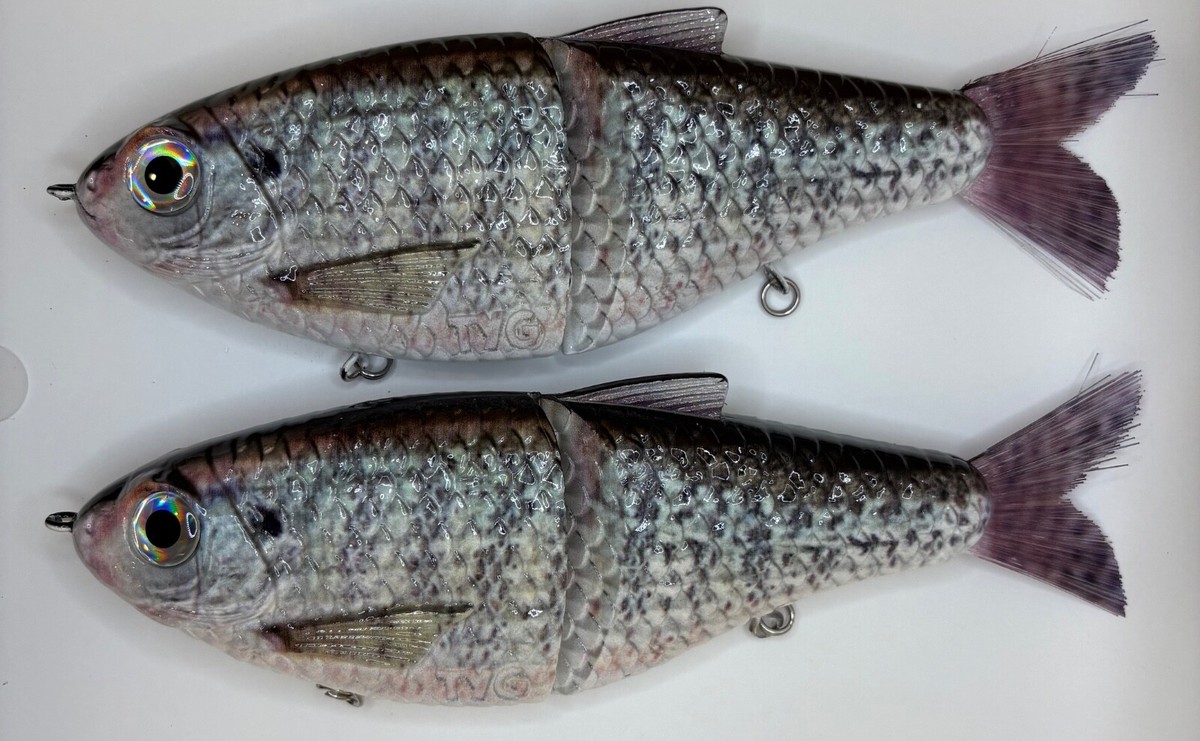 Pack De 4 Swimbait TYG Silencer Glide Bait 7 Pouces – Leurre Souple Custom