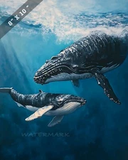 8x10 Matte Print Whale Calf Surfacing Beside Mother - Realistic Ocean Sce