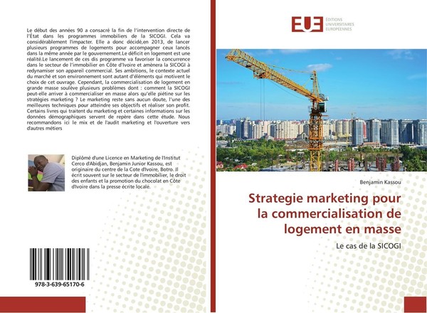 Strategie Marketing Pour La Commercialisation De Logement En Masse Benjamin Kass-image