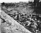 New 8x10 Civil War Photo: Casualties in Ditch after Antietam - Sharpsburg Battle