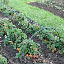 Garden Cloche, Hoop Tunnel With Netting, Flexible Hoops, Netting Tunnel Kit