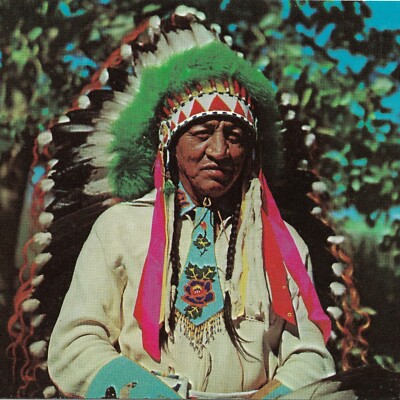 American Native Chief Full Headdress 