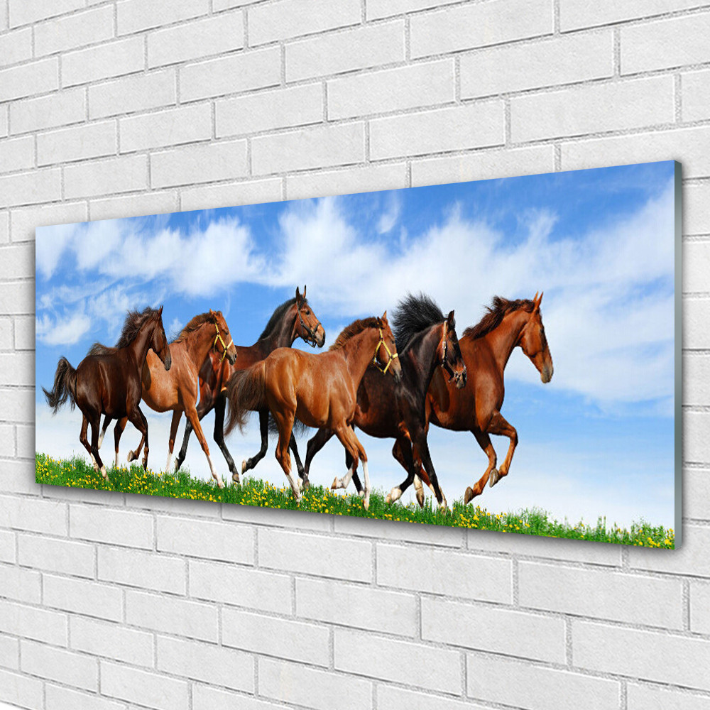 Tableau plexiglas chevaux pour salon design et moderne 125x50