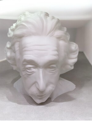 Albert Einstein Bust, 3D Printed  Figurine, Home Decorating, Sculpture  7''inch