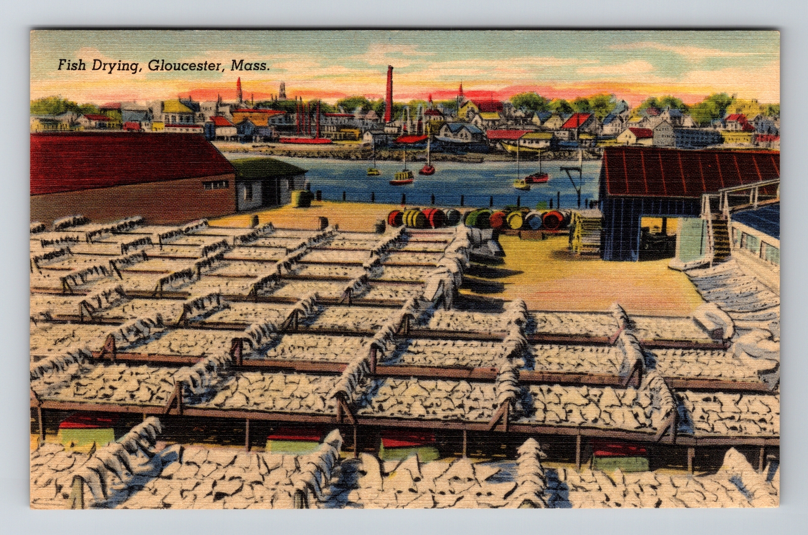 Gloucester MA- Massachusetts, Fish Drying on the Doc, , Vintage Postcard |  eBay