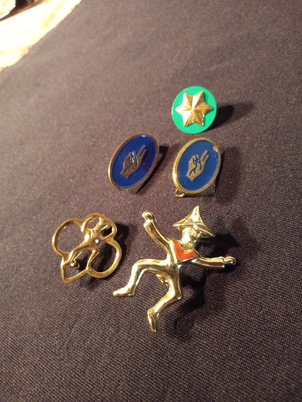 Vintage Lot Of 5 GirlScout Pins