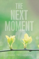 Joane Trojansek | The Next Moment | Taschenbuch | Englisch (2016) | Xlibris