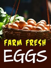 Farm Fresh Eggs  Retail Window Display Sign  18"W x 24"H