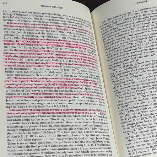 HEBREWS 1-8, William L. Lane, Word Biblical Commentary, Volume 47A - Picture 11 of 14