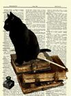 blackcatz_artprints