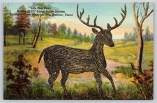 Life Size Deer 657 Snake Rattles Buckhorn Museum San Antonio Texas TX Postcard