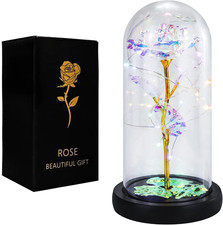 Eternal-Rose-Flowers-Gift Galaxy-Glass Rose-Flower-Light-Gifts for Mom-Grandma-W