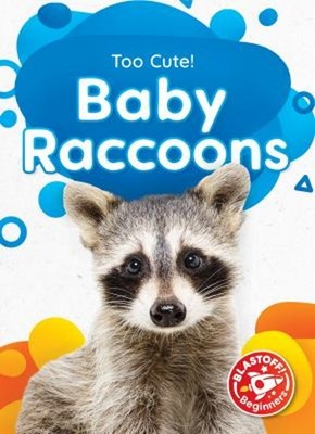 Baby Raccoons Library Binding Elizabeth Neuenfeldt