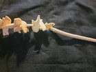 Photo 7/9
