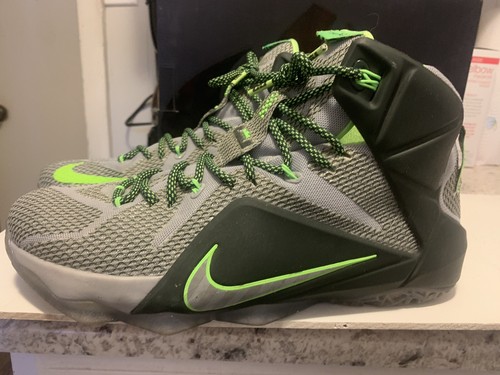 nike lebron 12 dunk force