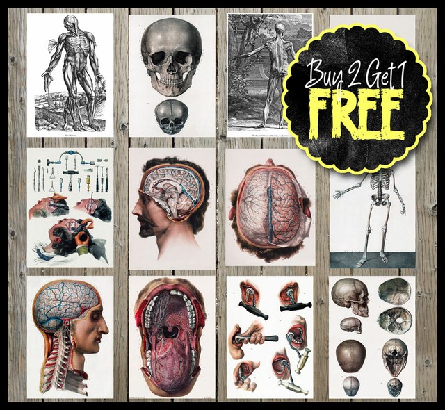 Vintage Retro Medizinische Anatomie Medizin Menschlicher Körper Chirurgie Poster