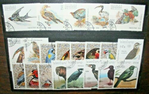 piero damiani 無題 2015年 1/1 1972 S. PIER DAMIANI L. 50 n° 1184 IN BLOCCO DI 20 MNH** CON 3