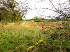 Photo 6x4 Envagh Townland Bellway Pictured along Lough Road c2013