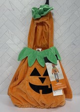 Hyde And Eek Infant Pumpkin Size 0-6 Month Pullover Hoodie Halloween Costume