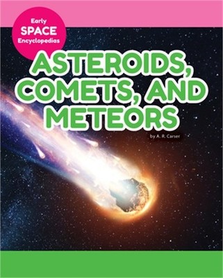 Asteroids, Comets, and Meteors (Hardback or Cased Book)