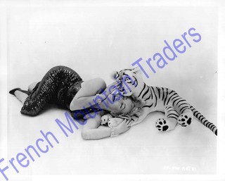 Marilyn Monroe w/ Stuffed Tiger Original Publicity Glamour Photo 8x10" 13A96