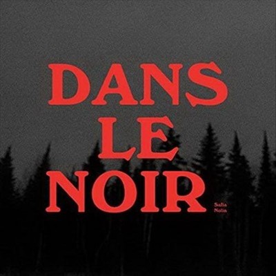 DANS LE NOIR NEW VINYL