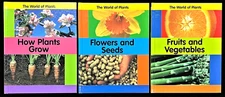 1st - 3rd Grades - THE WORLD OF PLANTS  (3 Plant & Seed Books) (2006, Hardcover)