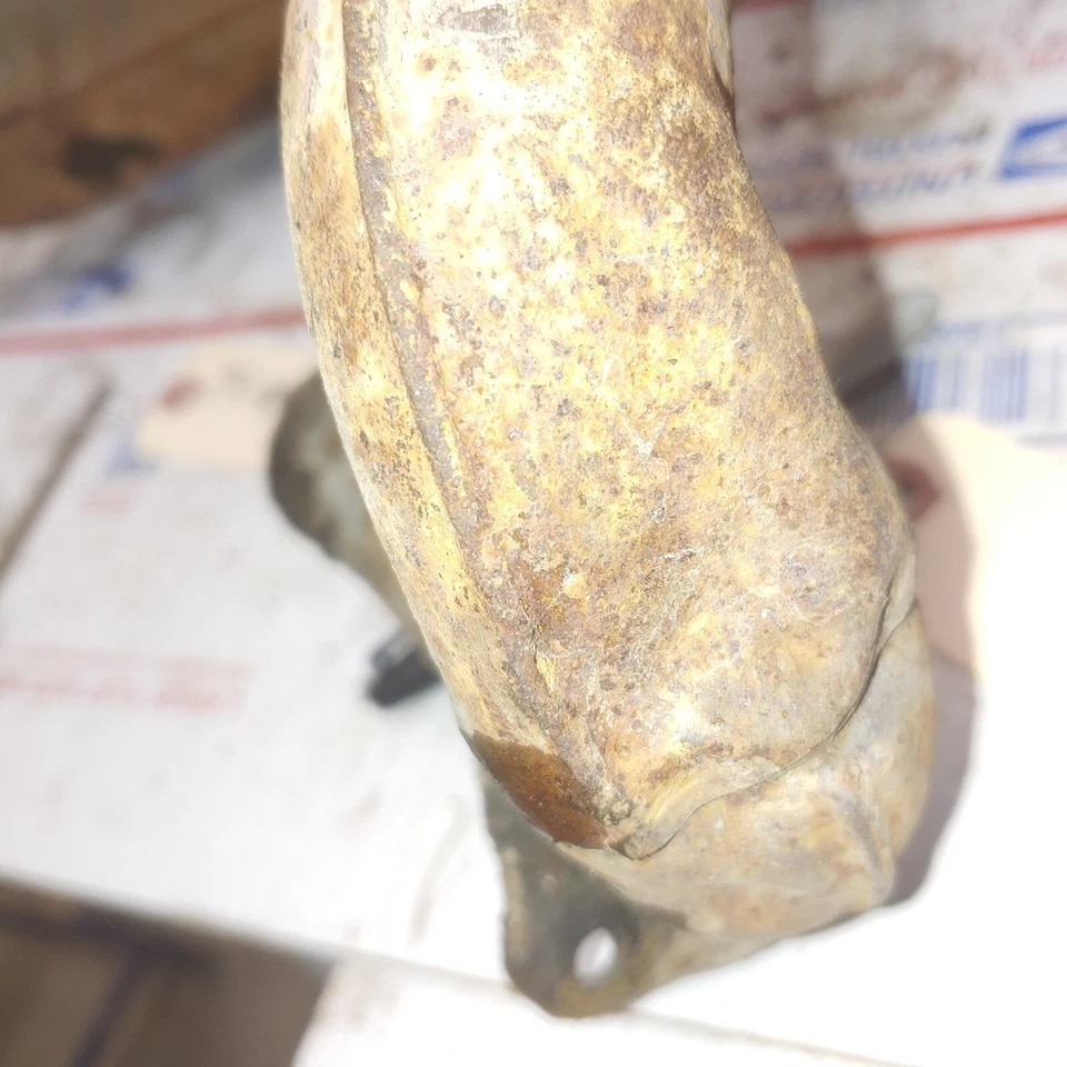 1979 Yamaha MX175F front exhaust pipe, chamber 3J0 14610 - Image 3 of 4