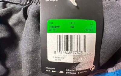 NWT Nike mens board athletic shorts L inside brief lining elastic