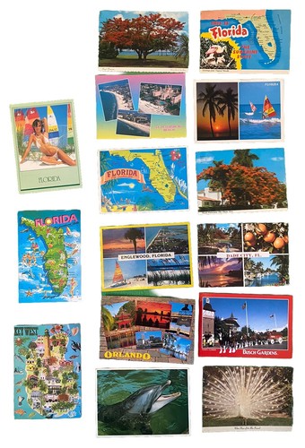 Collection of 35 Large Postcards of Florida FL Cities Landscapes Busch Gardens - Picture 2 of 2