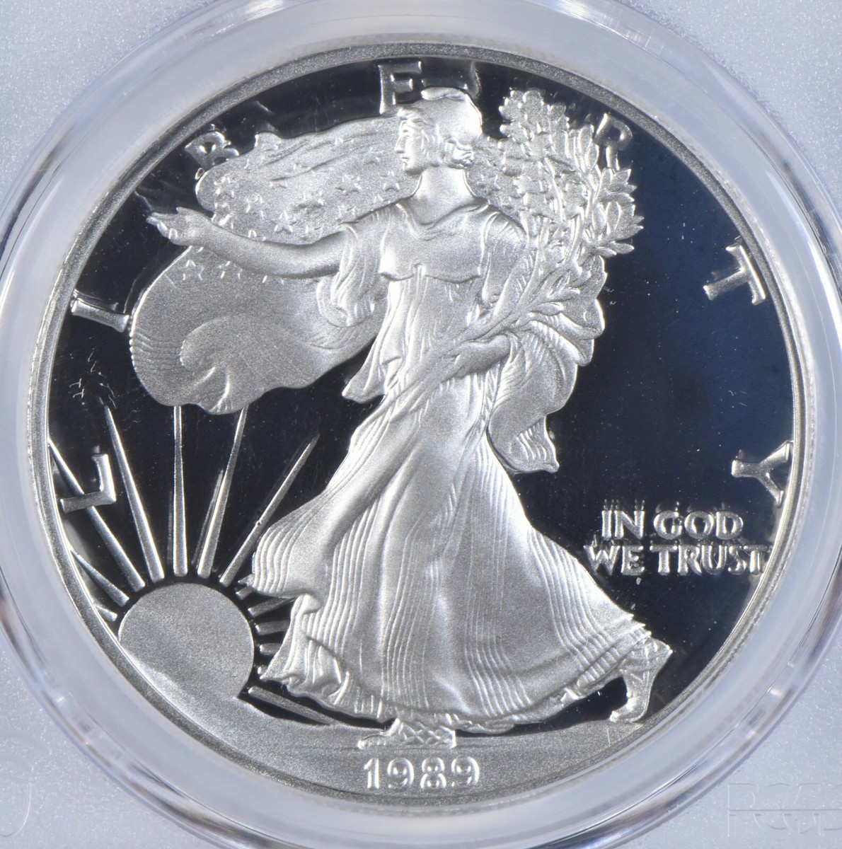 PR70 1989-S DCAM American Silver Eagle PCGS Blue Label | eBay