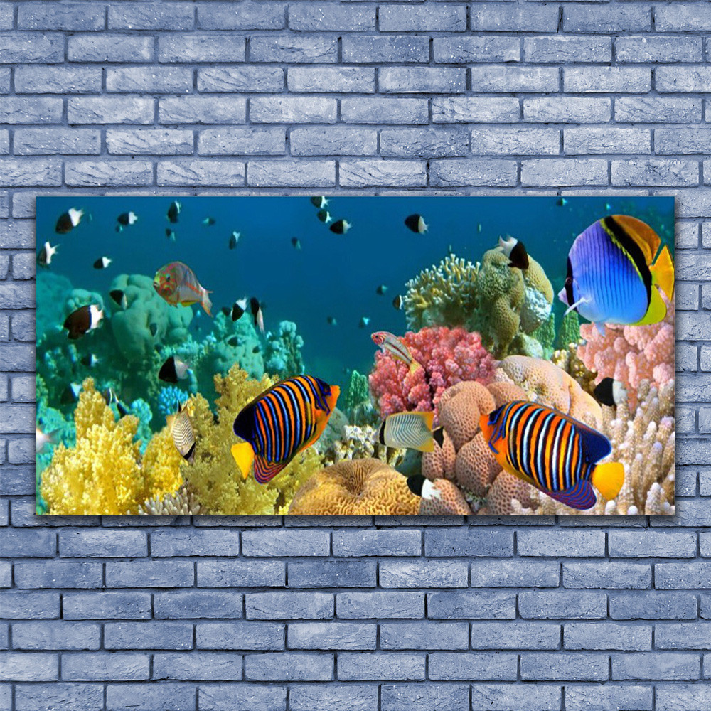 Tableau plexiglas récif de corail 140x70 cm pour illuminer une pièce sombre avec la nature