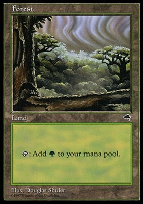 1x Forest - Cloudy Heavy Play MTG Magic - Kid Icarus -