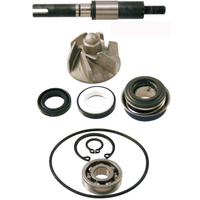 Honda SH 125 125 Wasserpumpe Revisions-Kit Pumpe Wasser 2001-2004 JF09A