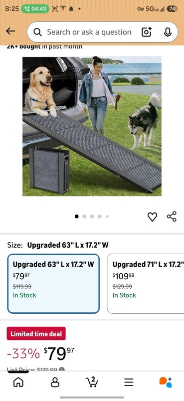 DOG RAMP FOR CAR, 63" LONG & 17" WIDE PORTABLE