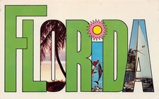 Florida FL (Greetings From) Large Letter D000...