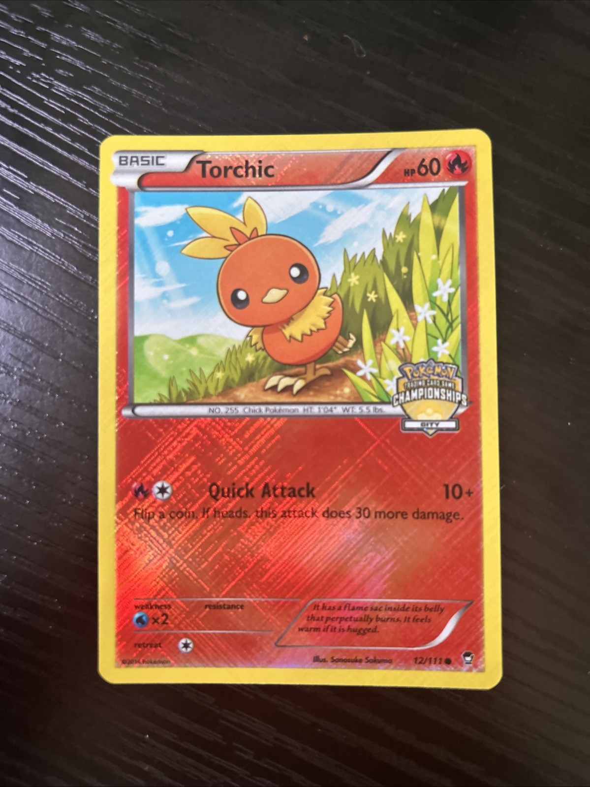 Torchic 12/111 City Championships Crosshatch Promo Pokemon TCG LP