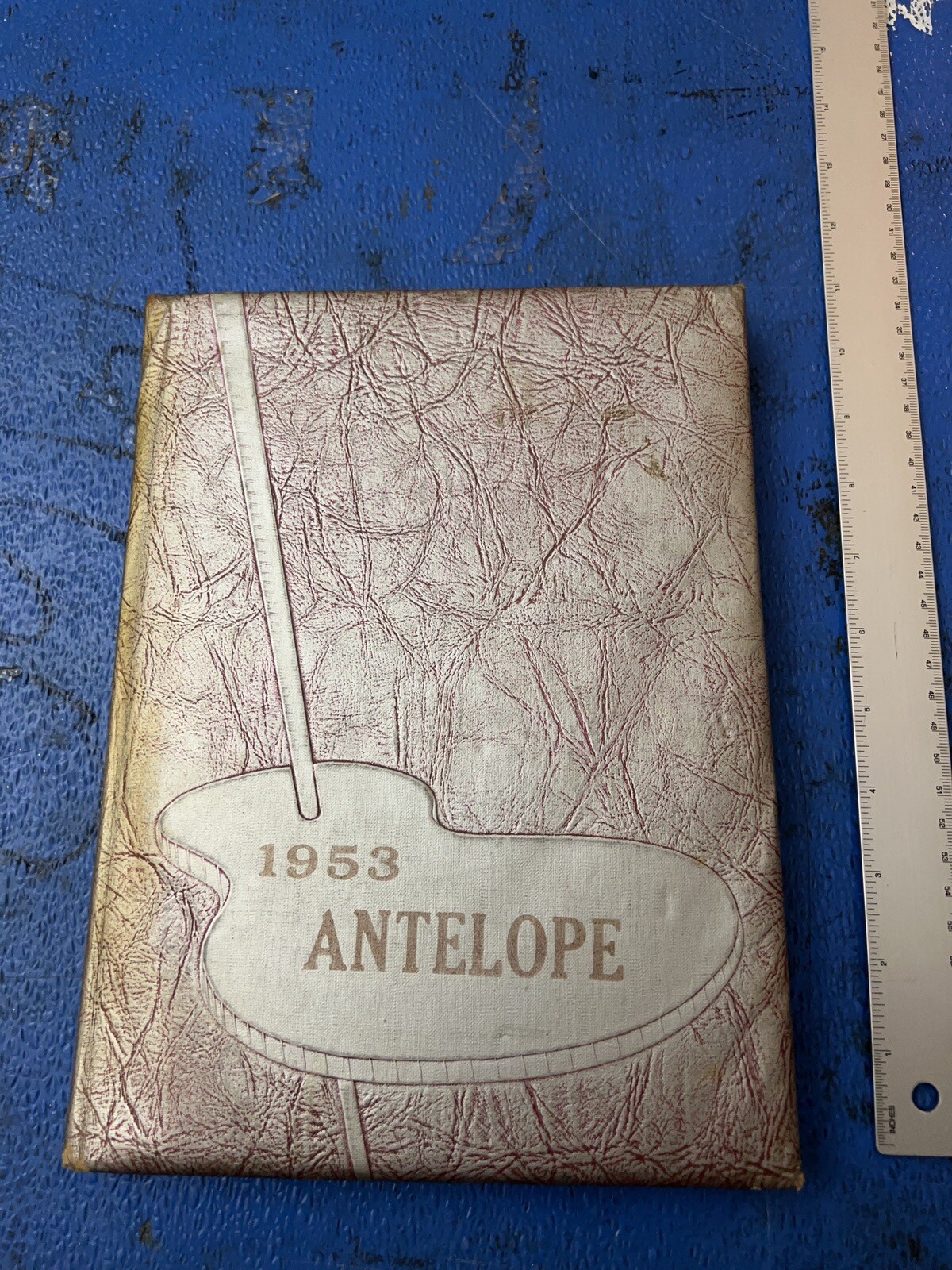 Abernathy High School 1953 Antelope Abernathy, Texas Year Book eBay