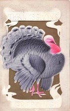 c1905 Turkey Airbrushed Embossed Thanksgiving P287
