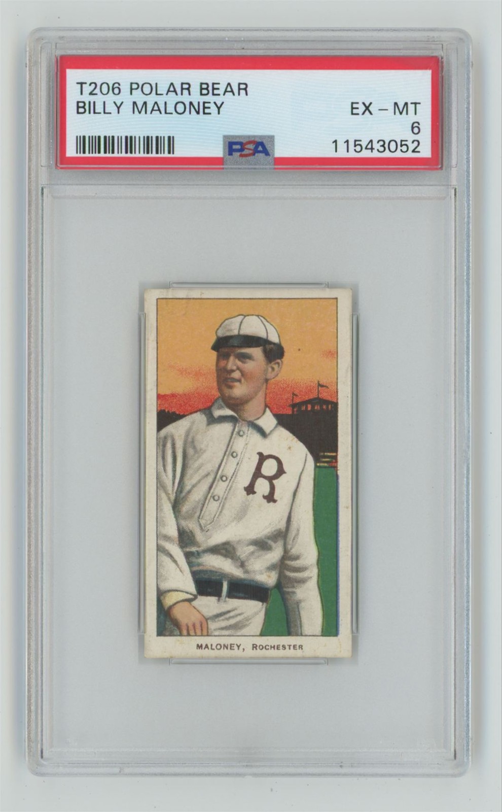 1909 T206 WHITE BORDER BILLY MALONEY POLAR BEAR BACK PSA 6 ROCHESTER POP 1, NONE