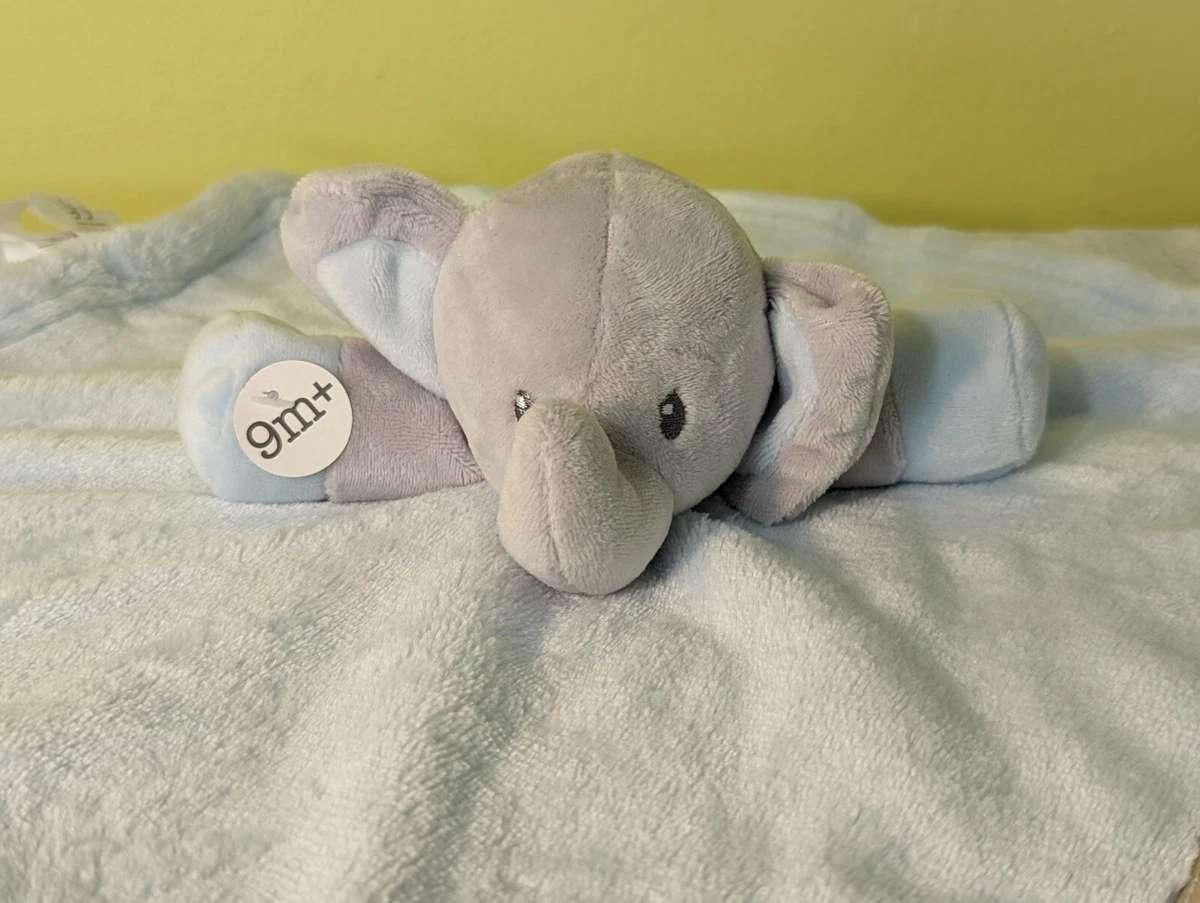 Blanket and online beyond elephant
