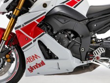 Gimbel carena attacco parte inferiore YAMAHA FZ 8 (RN25) | 10-ff | con TÜV unlac...