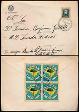 BRAZIL 1956 AIRCRAFT CANCEL + CAMPANHA de EDUCACAO FLORESTAL BLOCK
