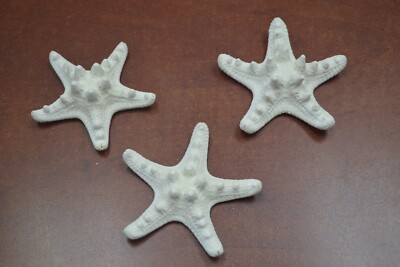 3 PCS WHITE BLEACHED KNOBBY STARFISH STAR SEA SHELL BEACH CRAFT 2'' - 3'' #7849W