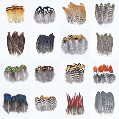 Pheasant Feathers Peacock Feathers Handicraft Accessories Decor Carnaval Plume