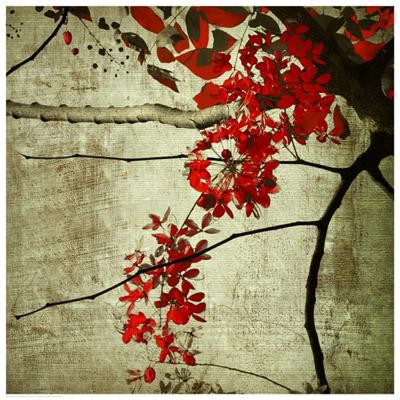 Anonymous Red Kerala Blossoms Open Edition