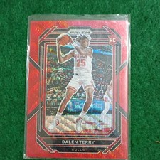 Panini Prizm 2022-23 Dalen Terry Chicago Bulls Rookie Basketball Card #240