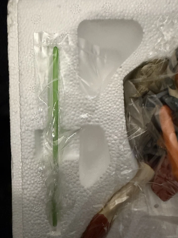 ASHLEY ECKSTEIN FIRMADO Ahsoka Tano con Estatua de Maqueta Rotta 178/1300 🔥JSA 🔥 Foto 3 de 4