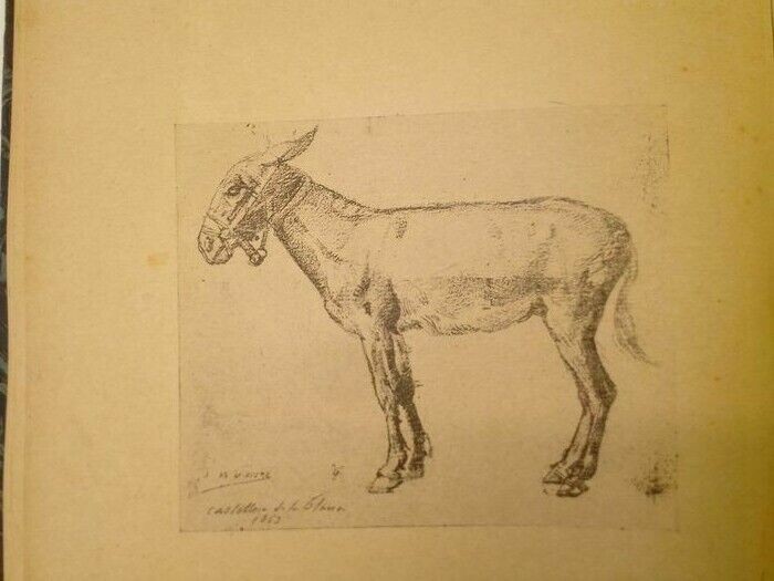 libro antiguo-Doscientos nuevos dibujos de maestros modernos -XX
